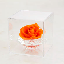 Load image into Gallery viewer, Crystal Rose #9955