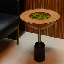 Load image into Gallery viewer, SOPPA #10834