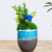Load image into Gallery viewer, Domani mug moss arrangement #12952
