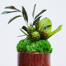 Load image into Gallery viewer, Domani mug moss arrangement #12952