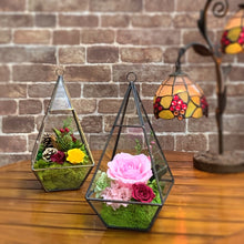 Load image into Gallery viewer, Terrarium house #13138