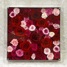 Load image into Gallery viewer, Bel Canto #2369