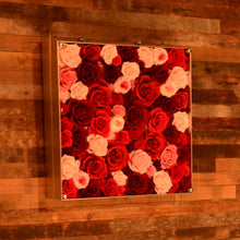 Load image into Gallery viewer, Bel Canto #2369