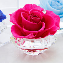 画像をギャラリービューアに読み込む, Crystal Rose ~クリスタルローズ~ #9955