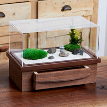 画像をギャラリービューアに読み込む, Terrarium large Japanese garden テラリウム ラージ 庭園 #13190