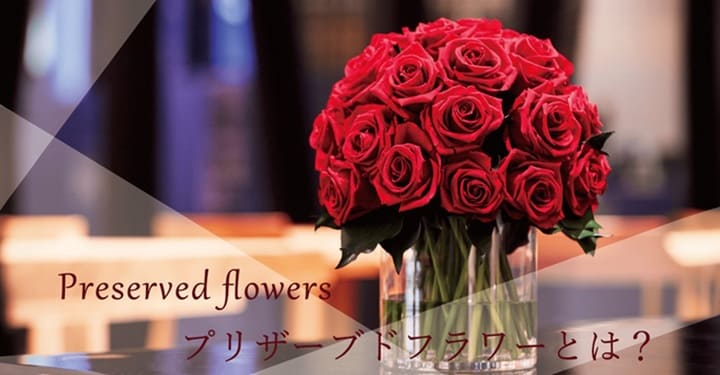 kiji_1382802b-1035-4b4b-85f0-