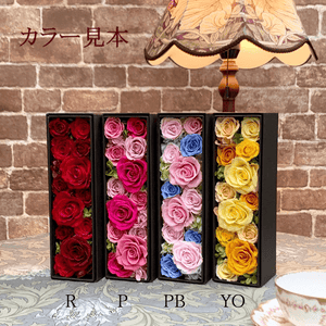 12 Roses in tall box: #10893