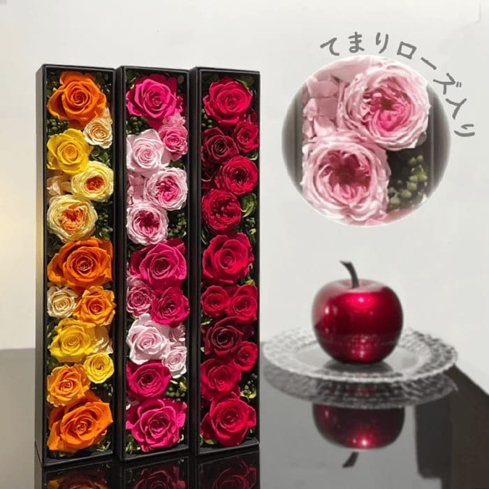 Dozen Roses Box ～Temari Roses～ Medium #10894-T – GINZA SOBI FLOWERS