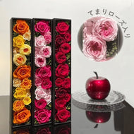 Dozen Roses Box ～Temari Roses～ Medium ダズンローズ　ボックス　てまり　#10894-T