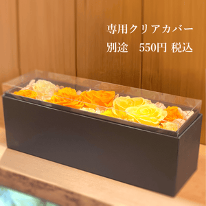 Dazen Roses Box Short #10895-24