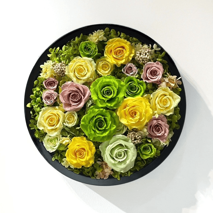 Rond Pastel ～ローズ～ #10900M-4-rose