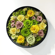 Rond Pastel ～ローズ～ #10900M-4-rose