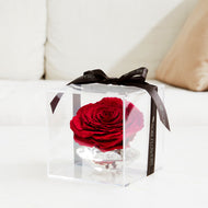 Crystal rose Jumbo #10977