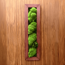 Load image into Gallery viewer, Vague #11570
