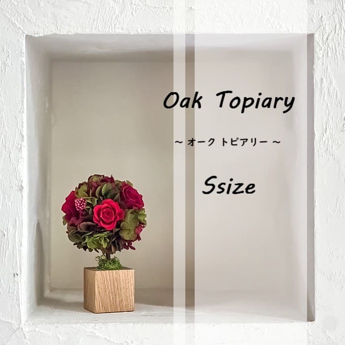 Oak Topiary S 〜オークトピアリー〜 #12312 – GINZA SOBI FLOWERS