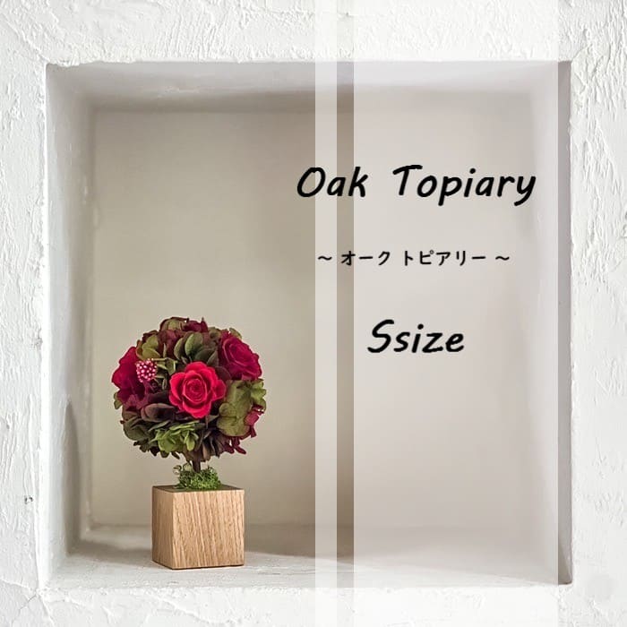 Oak Topiary S #12312