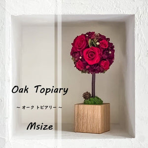 Oak Topiary M #12311