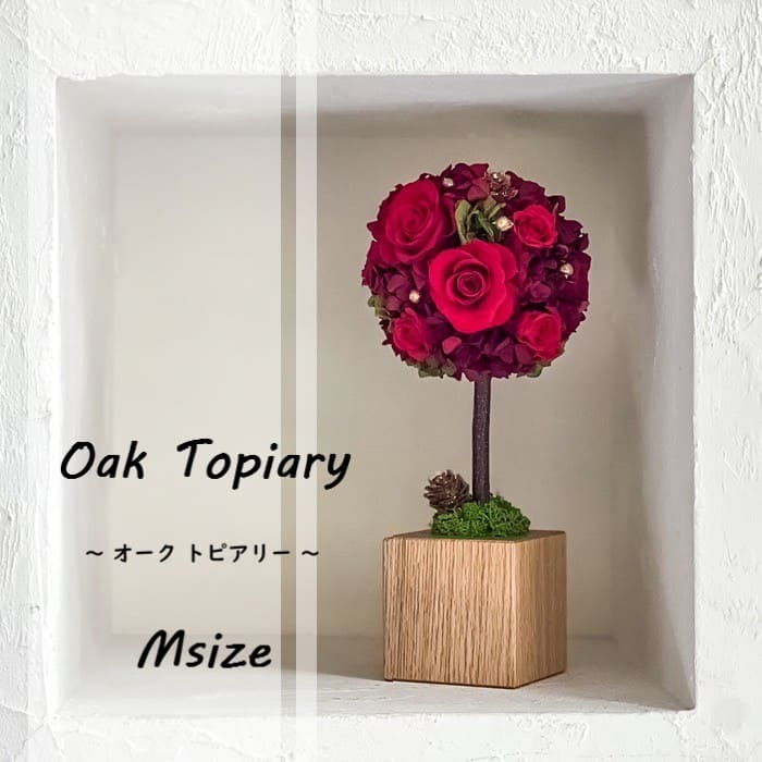 Oak Topiary M 〜オークトピアリー〜 #12311 – GINZA SOBI FLOWERS