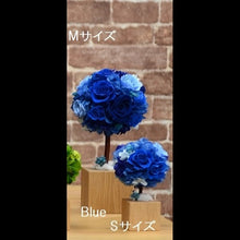 Load image into Gallery viewer, Oak Topiary S　 〜オークトピアリー〜 #12312
