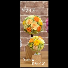 Load image into Gallery viewer, Oak Topiary S　 〜オークトピアリー〜 #12312
