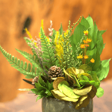 画像をギャラリービューアに読み込む, Domani mug moss arrangement #12952
