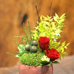 Domani mug moss arrangement #12952