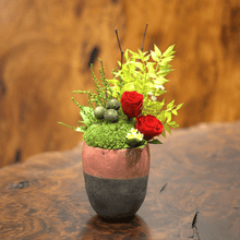 画像をギャラリービューアに読み込む, Domani mug moss arrangement #12952
