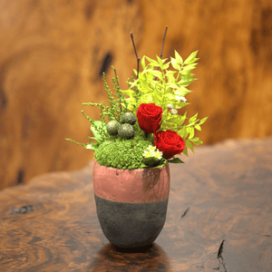 Domani mug moss arrangement #12952