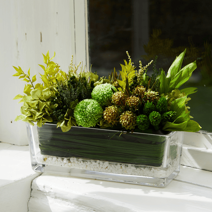 Greenland グリーンランド M #13133 – GINZA SOBI FLOWERS