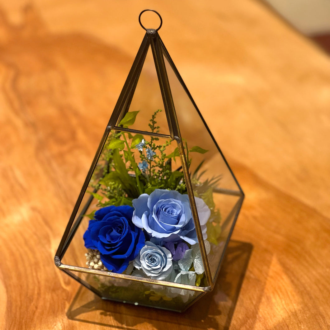 Terrarium house ハウス　#13138