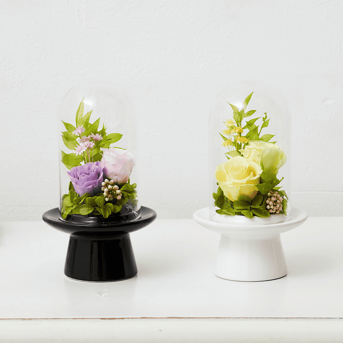 サウジアラビアの花々の画集 CD | gallery hydrangea