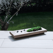 画像をギャラリービューアに読み込む, Solid wood x plants 無垢プランツ M　#13195-6
