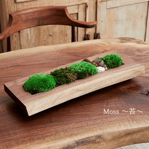 Solid wood x plants M #13195-6