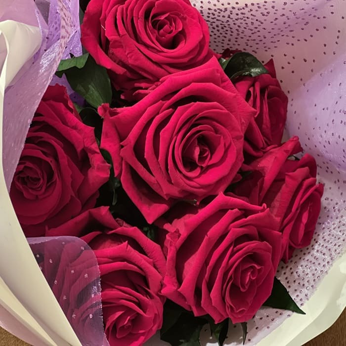 葡萄色の薔薇！ L.D.ブレスウェイト 鉢苗 - L D Braithwaite Potted (Auscrim