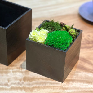 Moss wooden box arrangement 桐箱アレンジ #13293