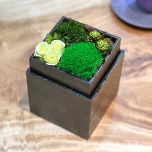 Moss wooden box arrangement 桐箱アレンジ #13293