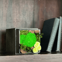 Load image into Gallery viewer, Paulownia box arrangement #bc-13350
