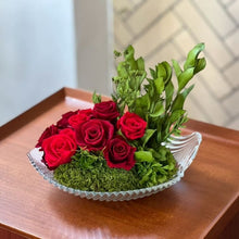 Load image into Gallery viewer, ミッテ #13399
