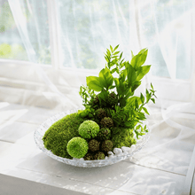 Load image into Gallery viewer, ミッテ #13399
