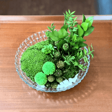 Load image into Gallery viewer, ミッテ #13399
