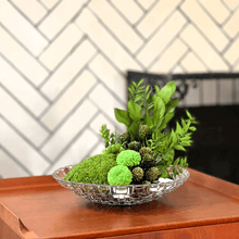 Load image into Gallery viewer, ミッテ #13399
