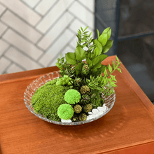 Load image into Gallery viewer, ミッテ #13399
