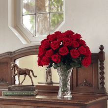 Load image into Gallery viewer, パラディ #13406
