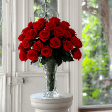 Load image into Gallery viewer, パラディ #13406
