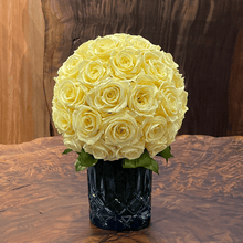 Load image into Gallery viewer, クラシカ mini #13440
