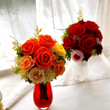 画像をギャラリービューアに読み込む, コーディアル　#13442
