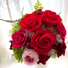 画像をギャラリービューアに読み込む, コーディアル　#13442
