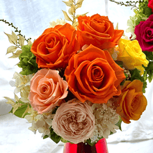 画像をギャラリービューアに読み込む, コーディアル　#13442
