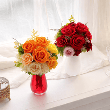 画像をギャラリービューアに読み込む, コーディアル　#13442
