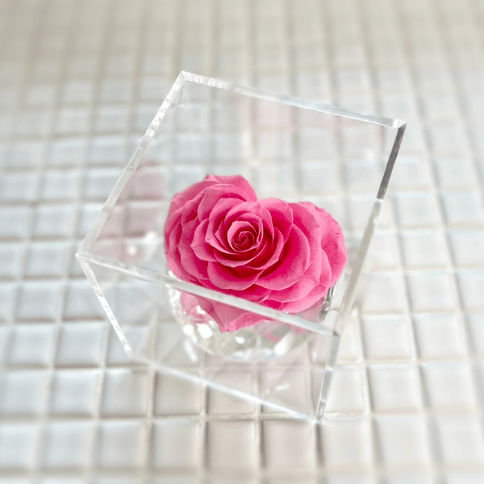 FLOWERS - All Collection ‐| 最高級プリザーブドフラワー・家具の